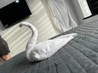 a white swan made out of a bed at Family Holiday with Hot tub , Family groups only in Blackpool