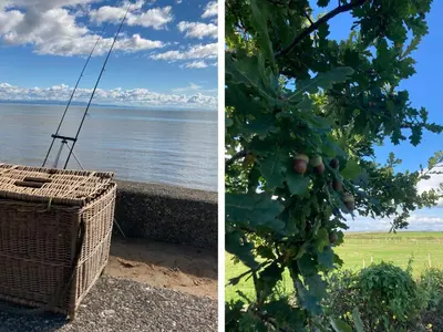 two pictures of a fruit tree and a basket at The Pleasant Hut at Mount Pleasant Farm in Ulverston