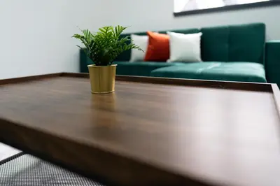 a coffee table with a plant on top of it at New Zealand House Apartments by Happy Days in Liverpool