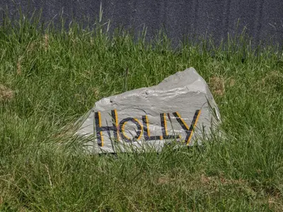 a kite sitting in the grass with the word now at Holly in Ulverston