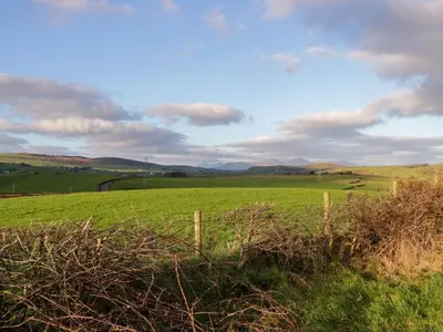 a green field with a fence in the foreground at Holly in Ulverston