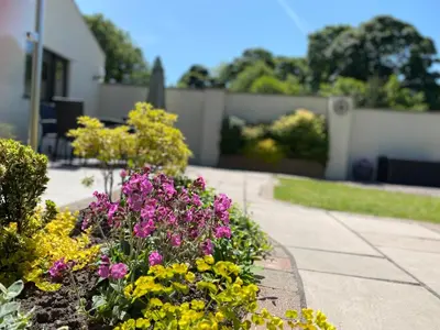 a garden with purple and yellow flowers on a sidewalk at Hodder Cottage in The Ribble Valley in Whalley