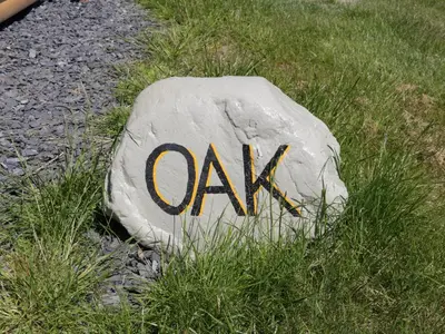 a rock with the word oak written on it in the grass at Oak in Ulverston