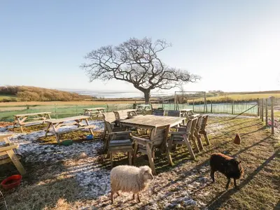 two sheep standing next to a wooden table and chairs at Granary in Ulverston