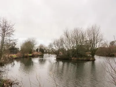 a river with trees in the middle of it at Beech Lodge in Preston