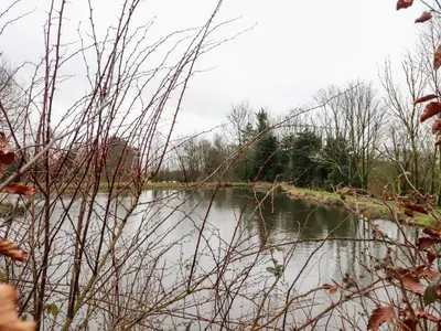 a view of a body of water with trees at Beech Lodge in Preston