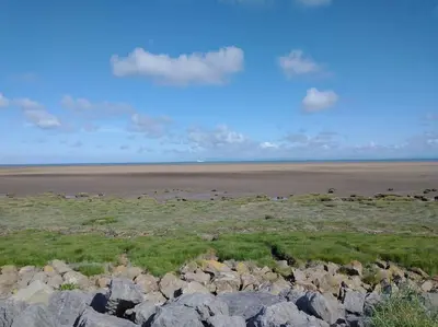 a large group of rocks in a field with a beach at Coastal Garden Lodge in Preesall