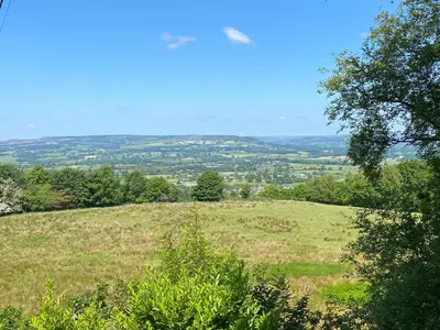 a green field with trees on a hill at Oakdean Lodge in The Ribble Valley in Whalley