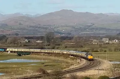 a train is traveling on the tracks in a field at Halsteads: peaceful location, stunning views in Soutergate