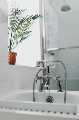 a bathroom sink with a faucet and a plant at Church View Cottage in Whalley