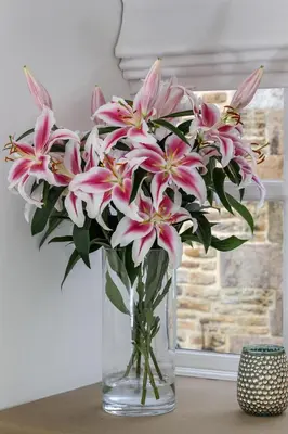 a glass vase filled with pink flowers on a table at Finest Retreats - Middle Warble Stables in Mellor