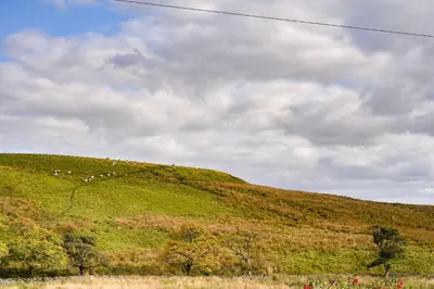 a green hill with sheep on the side of it at Cadshaw Country Views in Darwen