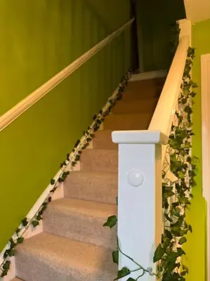 a stairway with a green wall and stairs with plants at #1 Most Viral Pink House w Ball Pit in Liverpool