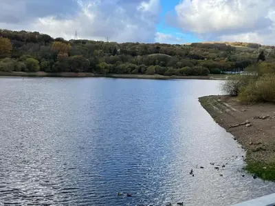 a view of a lake with ducks in the water at The Hideaway-Sharples-Bolton in Bolton