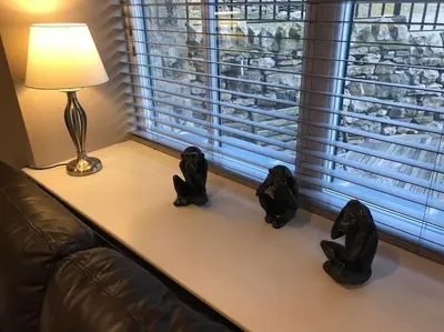 two black dogs sitting on a couch next to a window at Modern 3 Bed Barn Conversion in Great Urswick in Great Urswick