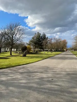 an empty road in a park with trees and grass at Caravan - Sleeps up to 8 & Free parking in Grange Over Sands