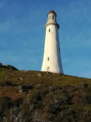 a lighthouse sitting on top of a grassy hill at Virginia House, Ulverston in Ulverston