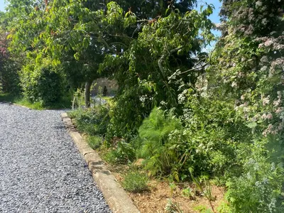 a row of plants on the side of a road at New purpose built holiday lodge in Scorton