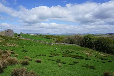 a large green field with sheep grazing in it at The Riverside Tailor's Retreat at Wray in Wray